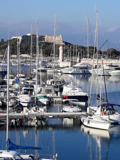 Les Violettes 3 Pieces Centre Ville Antibes Ngoại thất bức ảnh